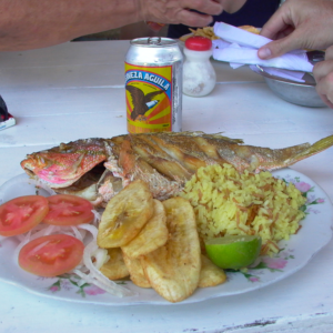 Pargo rojo