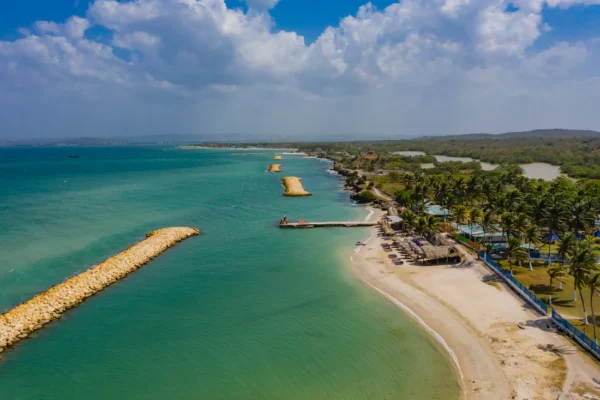 Palmarito Beach - Punta arena - Image 10