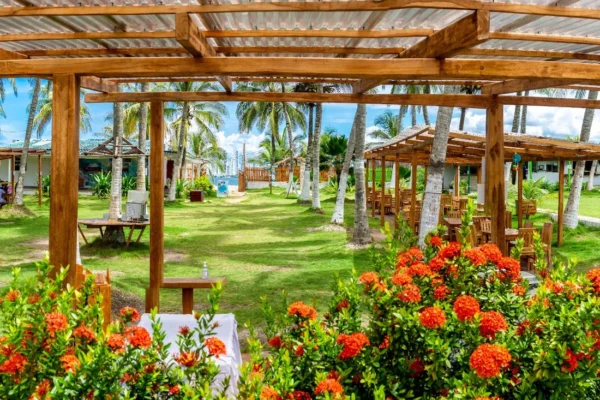 Palmarito Beach - Punta arena - Image 3