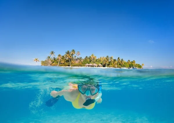 Aventura por las islas del rosario - Acuario - Image 9