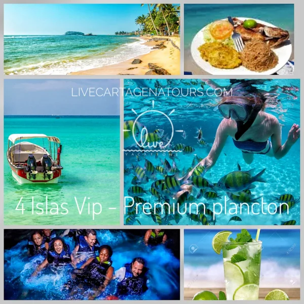 4 Islas vip - premium plancton - Image 4