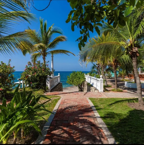 Cocoliso - isla de rosario - Image 9