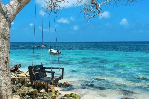 Aventura por las islas del rosario - Acuario - Image 7