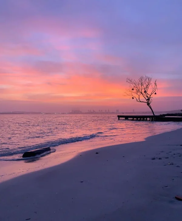 Fenix Beach - Isla de Tierra Bomba - Image 15