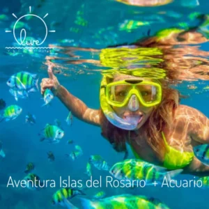 Aventura por las islas del rosario - Acuario