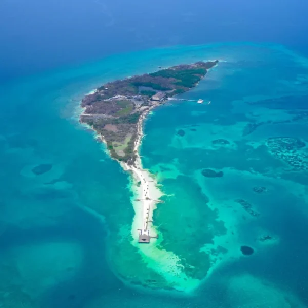 Isla Palma - Reserva Natural - Image 9