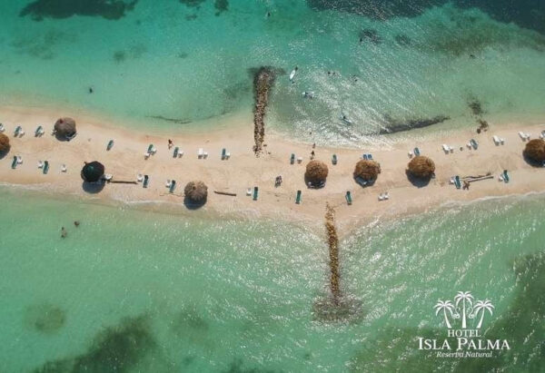 Isla Palma - Reserva Natural - Image 3