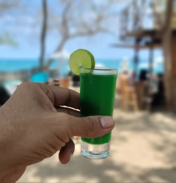 Pasadía en Buda House Barú: club de playa con almuerzo típico y cóctel de bienvenida - Image 2