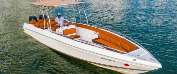 Lancha deportiva 28ft para 10 pax - Makaira - Image 7
