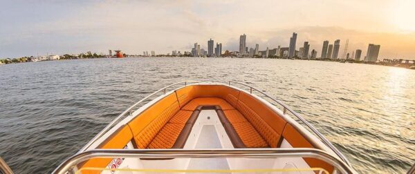 Lancha deportiva 28ft para 10 pax - Makaira - Image 10