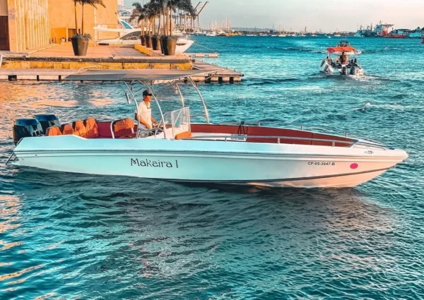 Lancha deportiva 28ft para 10 pax - Makaira - Image 4