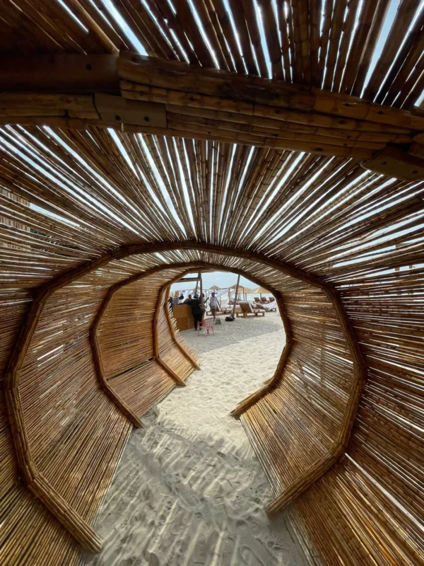 Pasadía en Isla Tierra Bomba con Almuerzo y Coctel – Ancestral Lounge Beach Club - Image 3