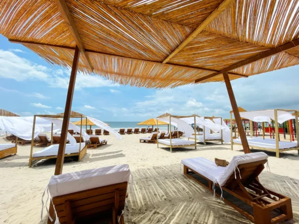 Pasadía en Isla Tierra Bomba con Almuerzo y Coctel – Ancestral Lounge Beach Club - Image 6