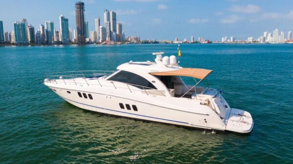 Yate Privado - Sea Ray Sundancer 62 - Image 5
