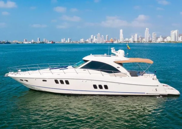Yate Privado - Sea Ray Sundancer 62 - Image 2