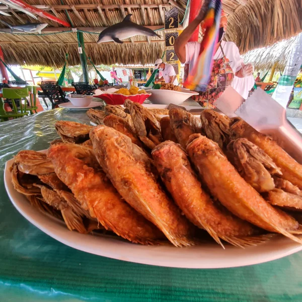 Isla de lizamar - isla del rosario - Image 18