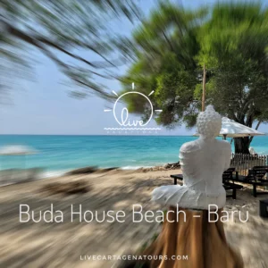 Pasadía en Buda House Barú: club de playa con almuerzo típico y cóctel de bienvenida