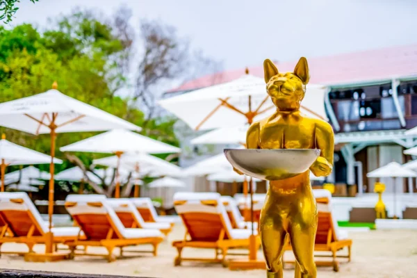 Pao Pao Beach Club - Isla del Rosario - Image 15