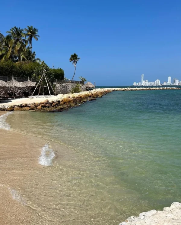Pasadía en Éteka Beach: Playa exclusiva cerca de Cartagena con almuerzo, cóctel y DJ en vivo - Image 4