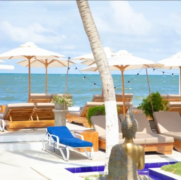 Walla Club de Playa Cartagena: gastronomía caribeña, piscina y música en vivo en Laguito - Image 4
