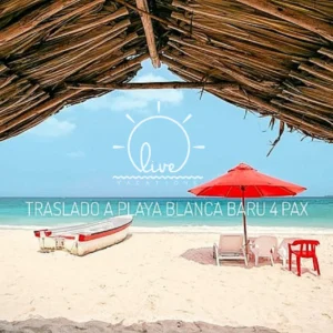 Traslado a playa blanca - Ida y regreso