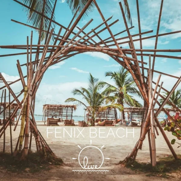 Fenix Beach - Isla de Tierra Bomba - Image 5