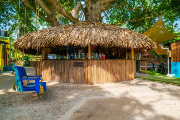 Luxury Area VIP en Islas del Rosario: Día Exclusivo de Lujo y Relax en el Caribe Colombiano - Image 7