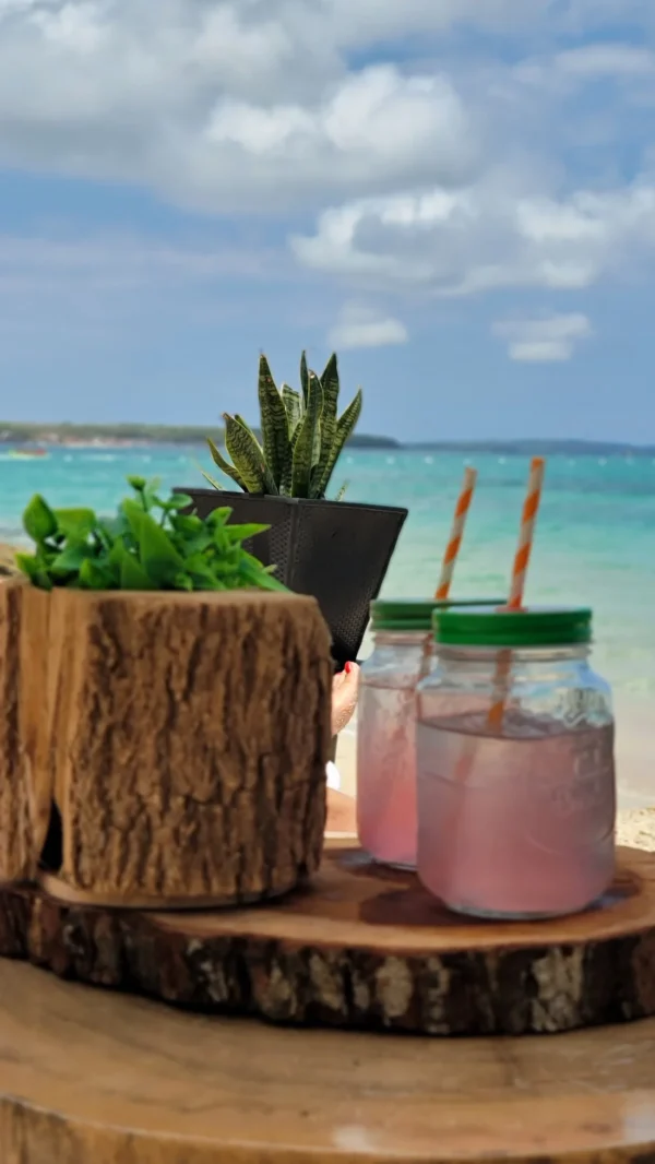 Pasadía en Buda House Barú: club de playa con almuerzo típico y cóctel de bienvenida - Image 6